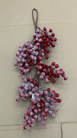 Christmas berry branch with snow